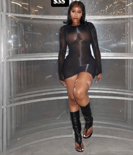 Sheer Dress